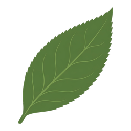 Tea with Mind logo