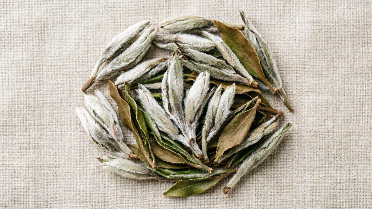 Dried Bai Mu Dan leaves with silvery buds and greenish-brown leaf pieces