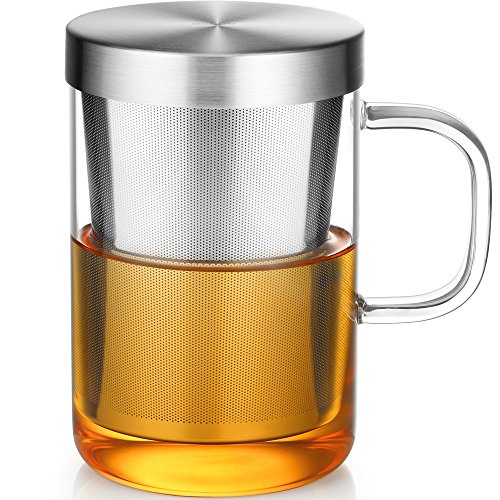 ecooe 16.9 oz Glass Tea Mug with Stainless Steel Infuser
