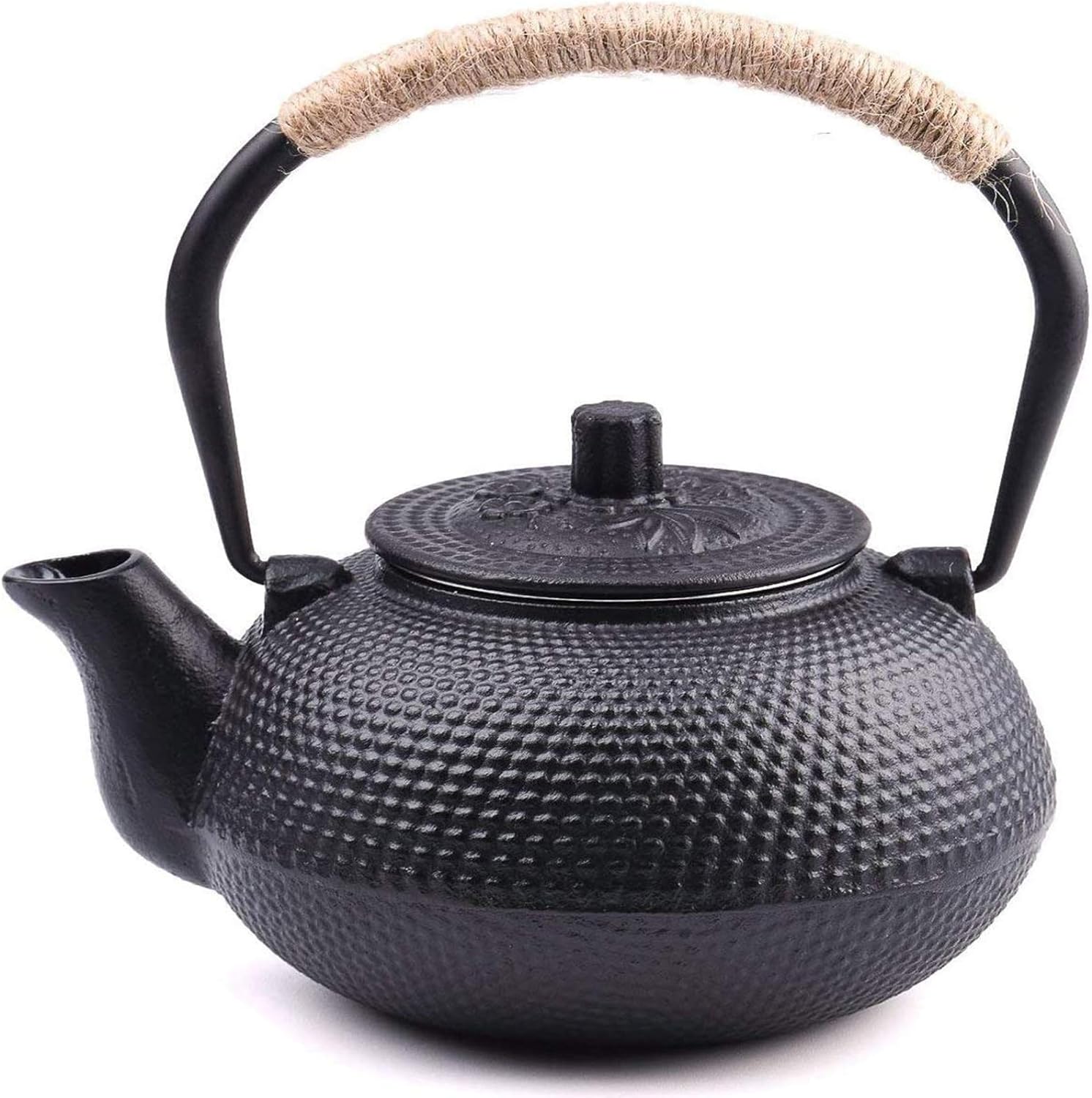 suyika Japanese Tetsubin Cast Iron Teapot Kettle with Infuser